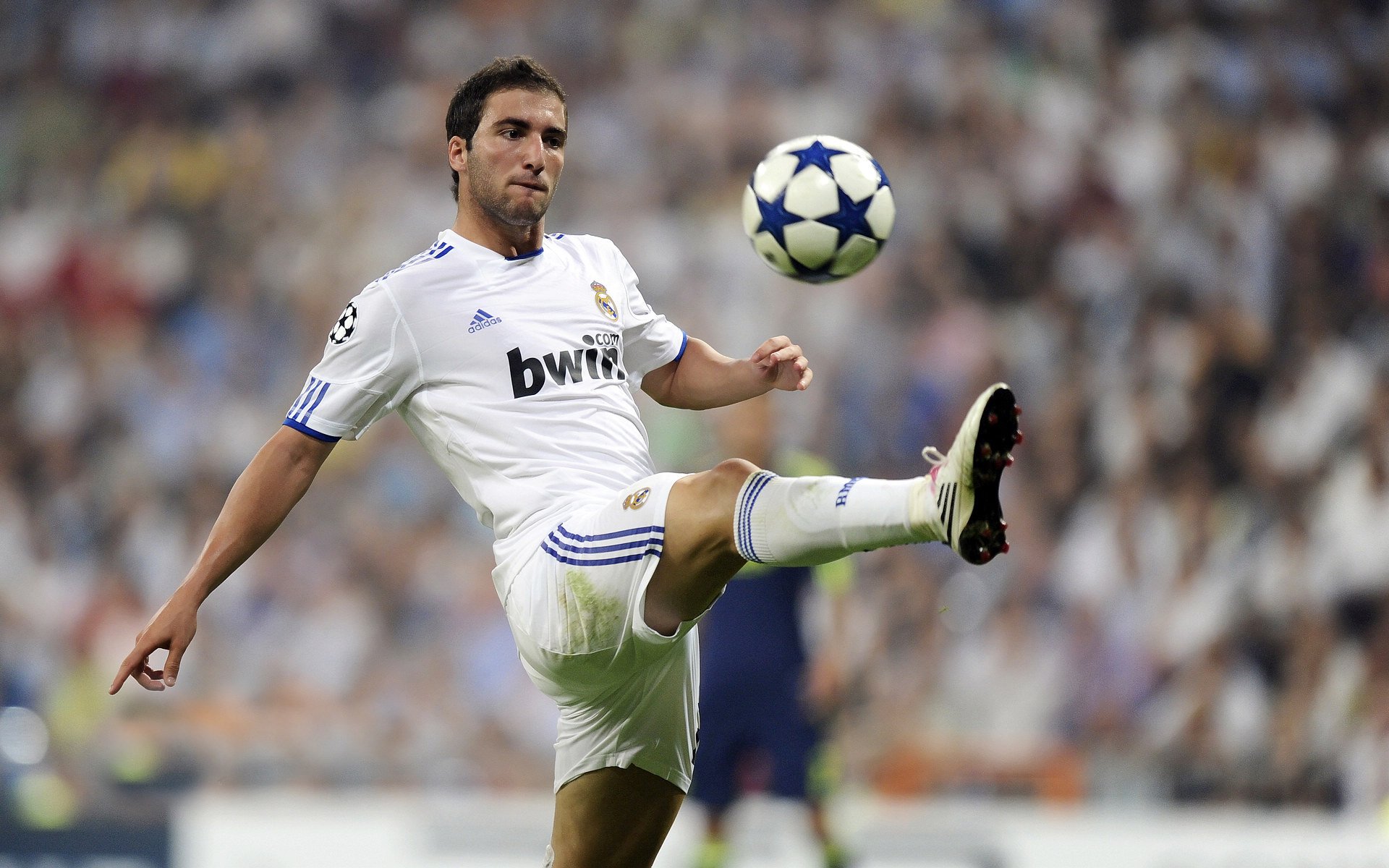 库里借魂森林狼，一记三分照见篮球的终极哲学